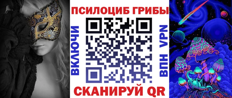 Купить закладки  Светогорск  Псилоцибиновые грибы Psilocybine cubensis 