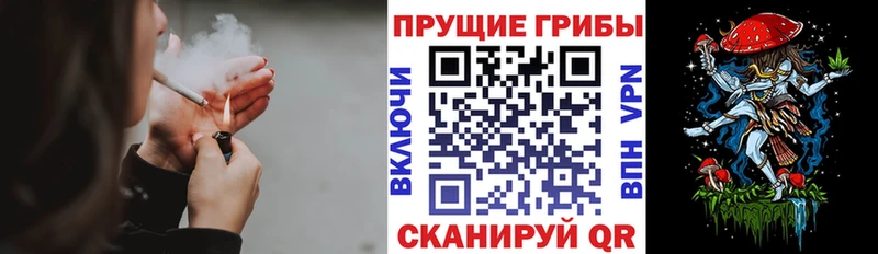 Галлюциногенные грибы Cubensis Светогорск